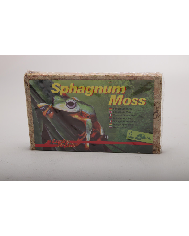 Sphagnum Moss