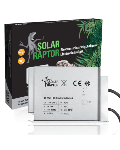 Solar Raptor EVG