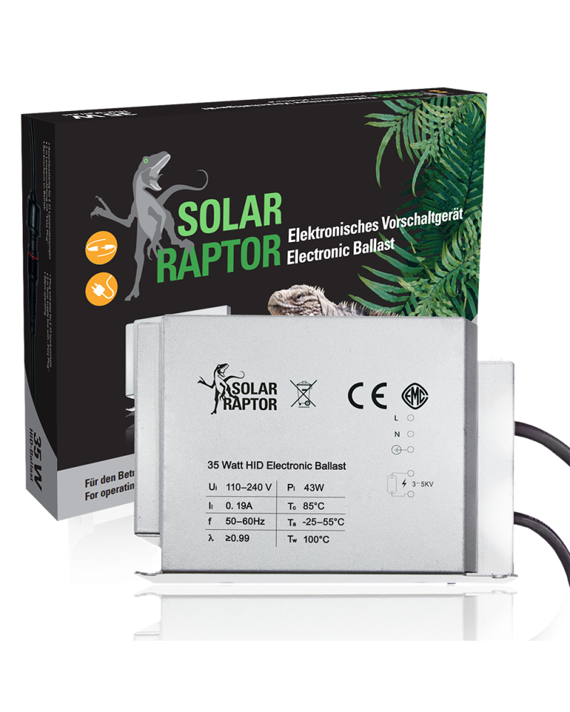 Solar Raptor EVG