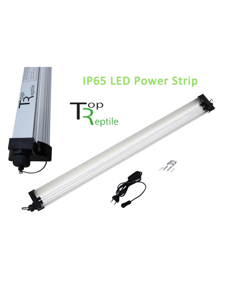 Led Power Strip von TopReptile