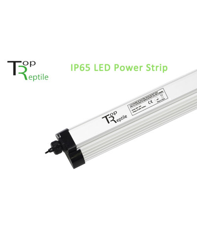 Led Power Strip von TopReptile