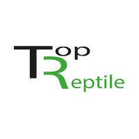 Top-Reptile